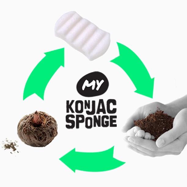 My Konjac Sponge - All Natural Fiber Bamboo Charcoal Facial Sponge (Grey)
